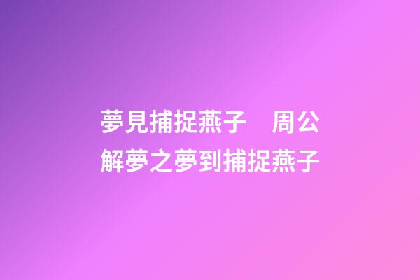 夢見捕捉燕子　周公解夢之夢到捕捉燕子